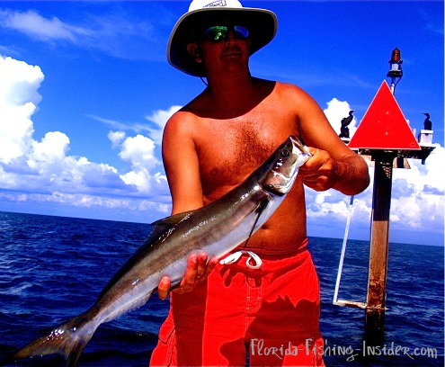 https://www.florida-fishing-insider.com/images/cobia_tarpon_springs.jpg